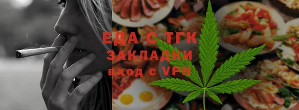 индика Магас