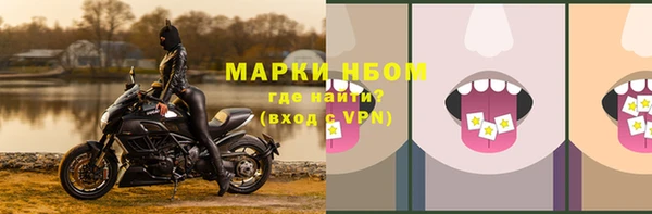 ECSTASY Майский