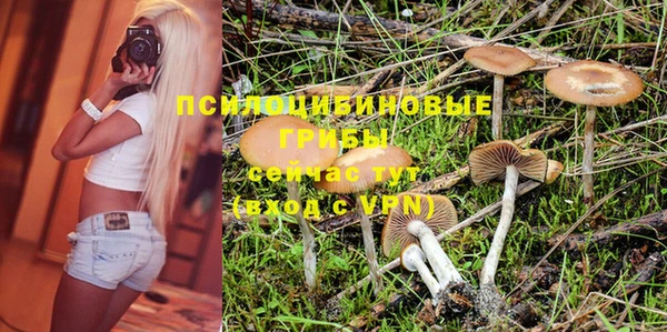 амф Мегион