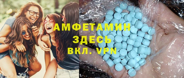 индика Магас