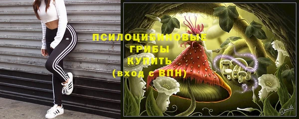 ECSTASY Майский