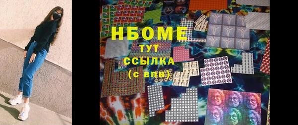 индика Магас