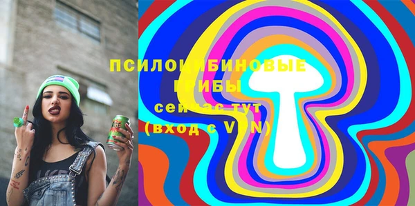 амф Мегион