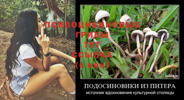 ECSTASY Майский