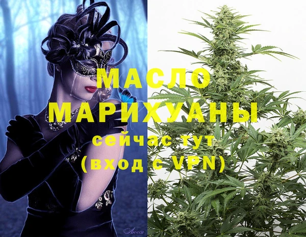 индика Магас