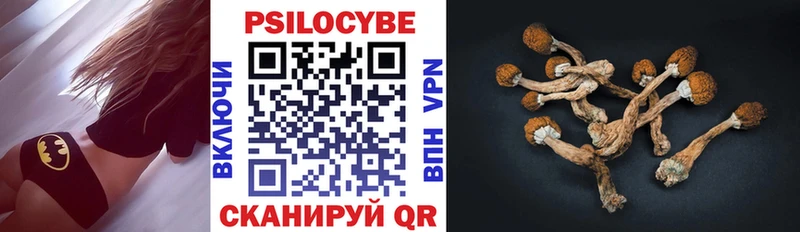 Псилоцибиновые грибы Magic Shrooms  Купить где  Первомайск 